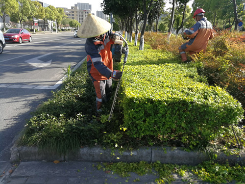 市政服务